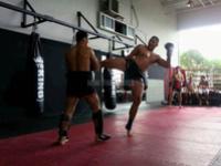 SrkiThaiMidKick.jpg