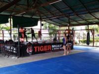 TigerMMAMuayThaiCamp.jpg