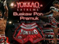 pantaloncini-yokkao-extreme-buakaw-por-pramuk.jpg
